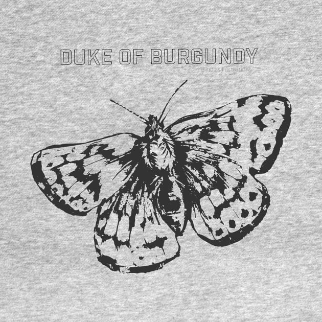 Duke of Burgundy Butterfly by IndiasIllustrations